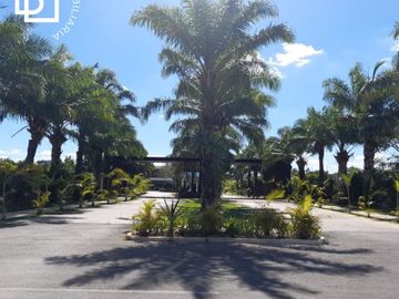 place photo 28