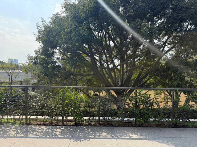place photo 40