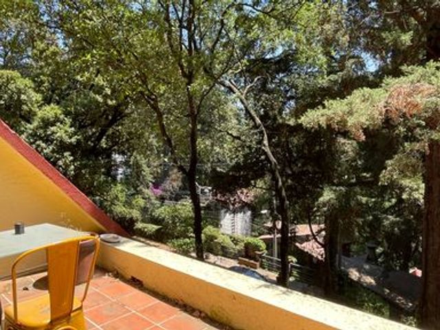 place photo 64