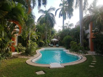 place photo 15