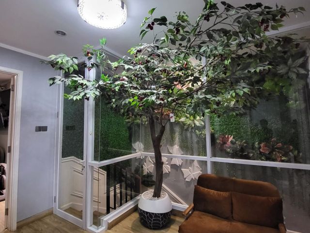place photo 20