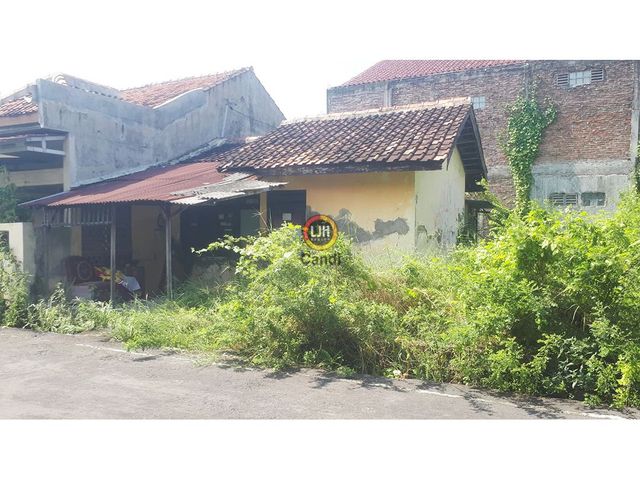 place photo 3