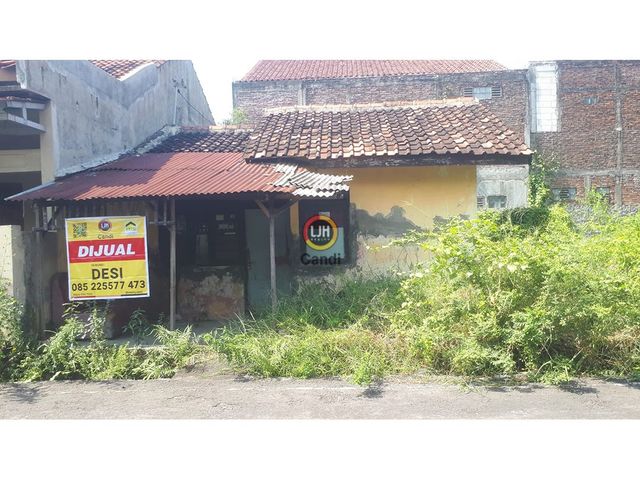 place photo 4