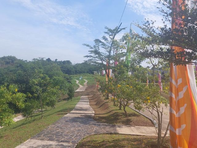 place photo 12