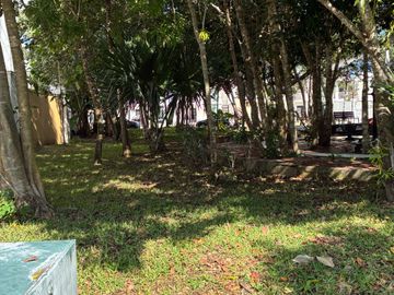 place photo 24