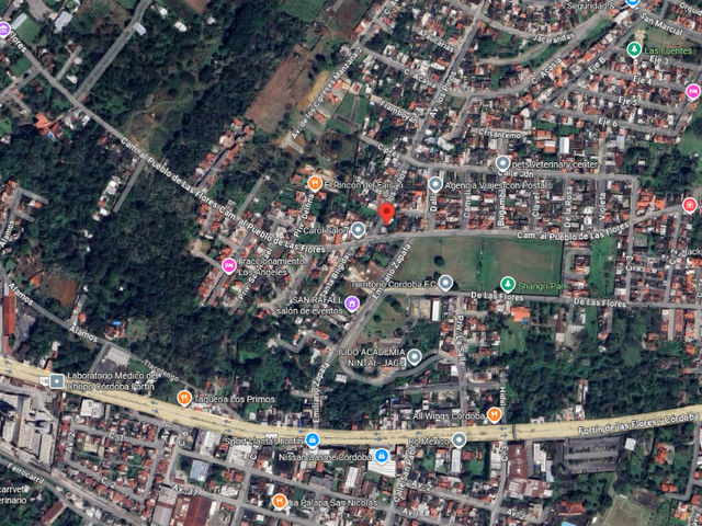 place photo 18