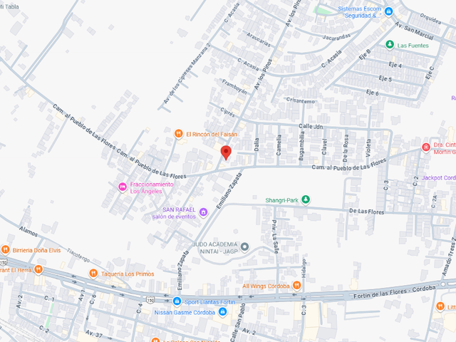place photo 19