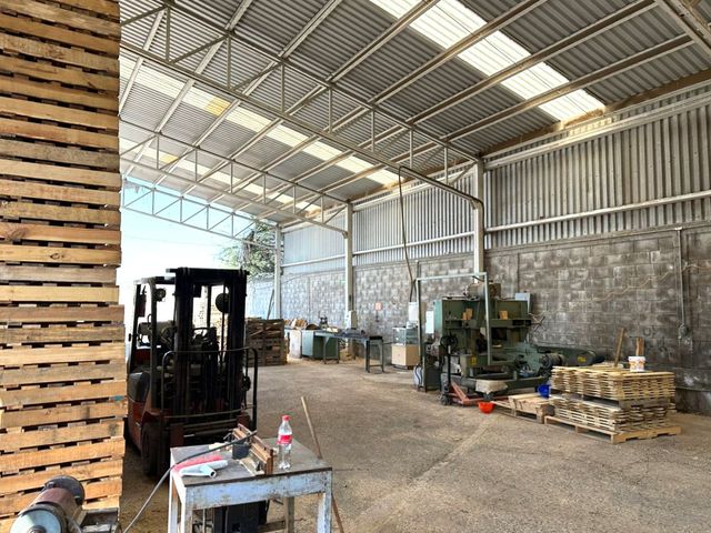 place photo 15