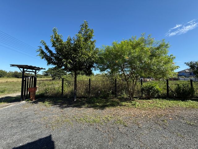 place photo 36