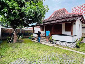 place photo 21