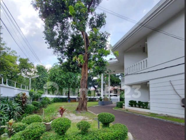 place photo 12