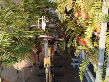 place photo 19