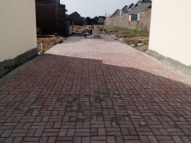 place photo 5