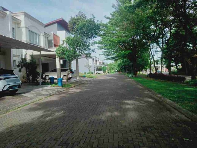 place photo 12
