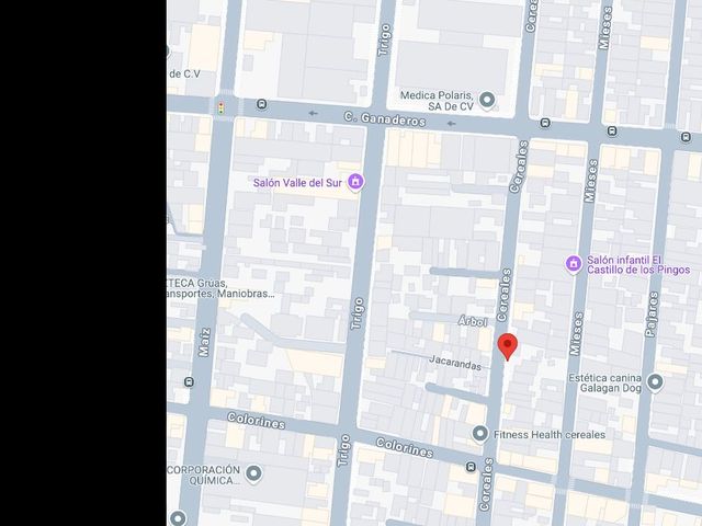 place photo 6