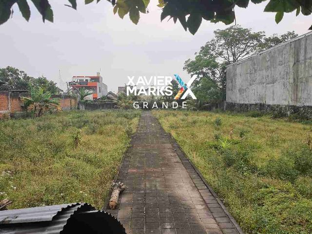 place photo 9