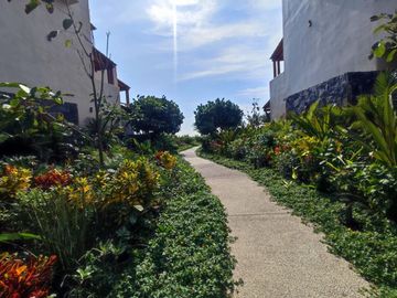 place photo 32