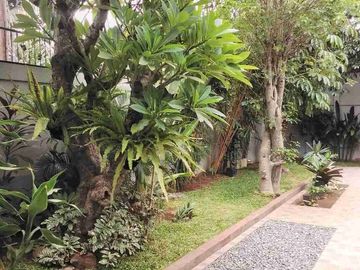 place photo 45