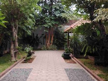 place photo 50