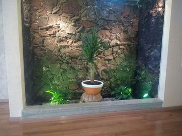 place photo 37