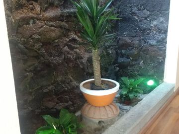 place photo 36