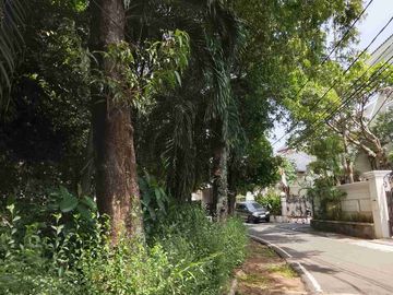 place photo 12