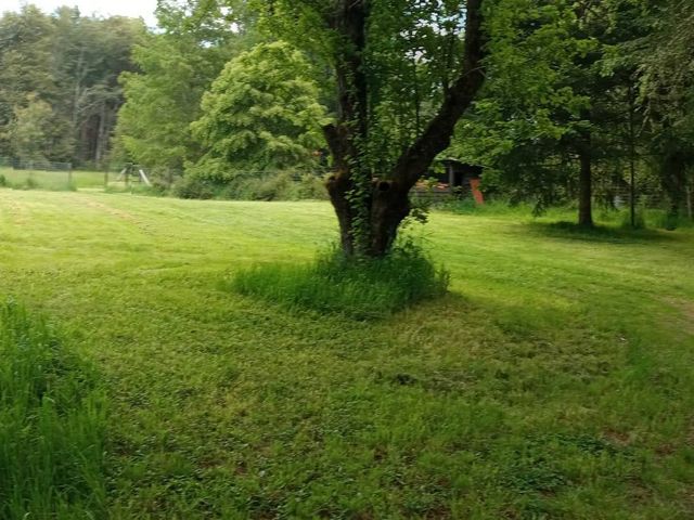 place photo 34