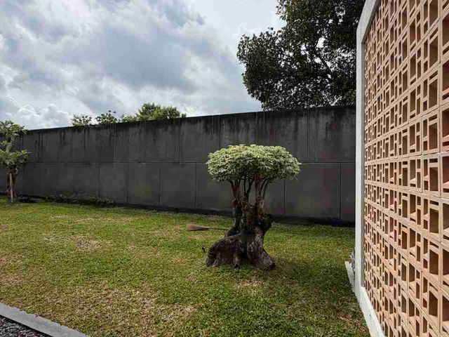 place photo 39
