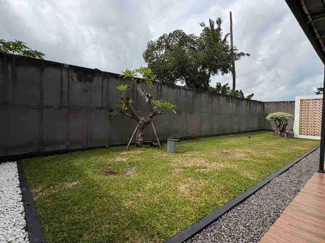 place photo 44