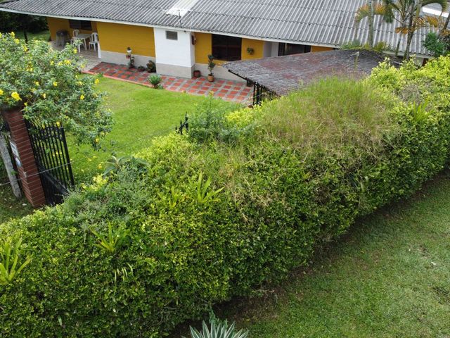 place photo 58