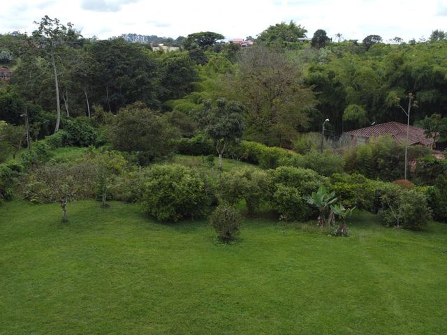 place photo 65