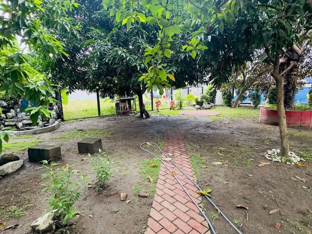 place photo 32