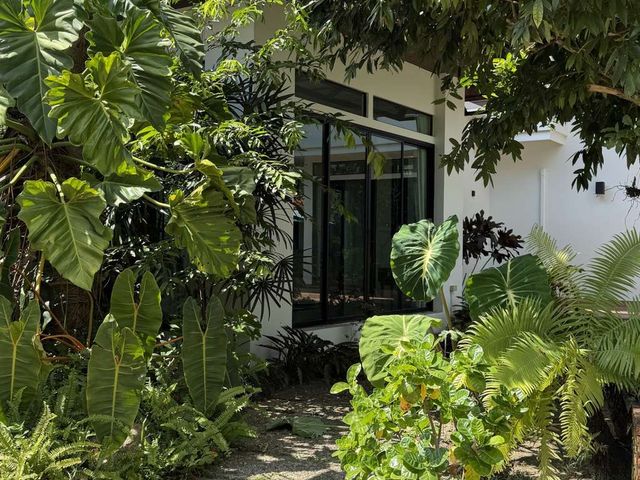 place photo 36