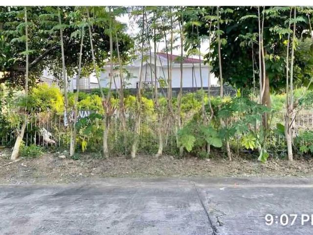 RESIDENTIAL LOT FOR SALE AT BF INTERNATIONAL LAS PIÑAS CITY