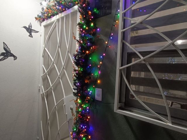 place photo 34