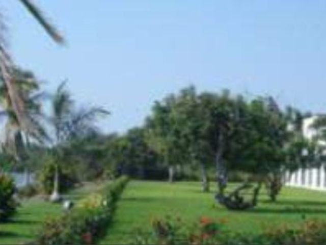 place photo 33