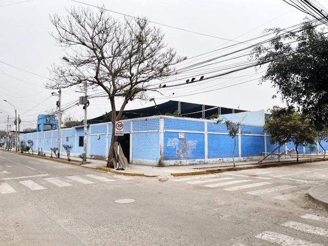 place photo 39