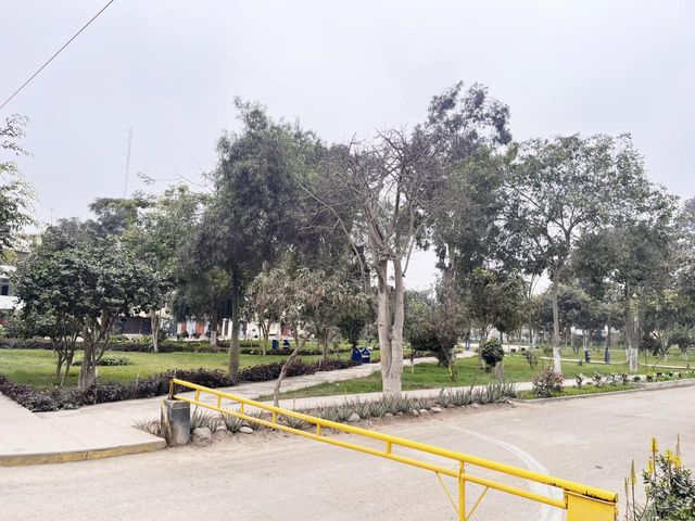 place photo 40