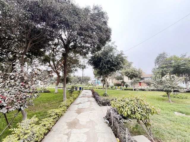 place photo 41
