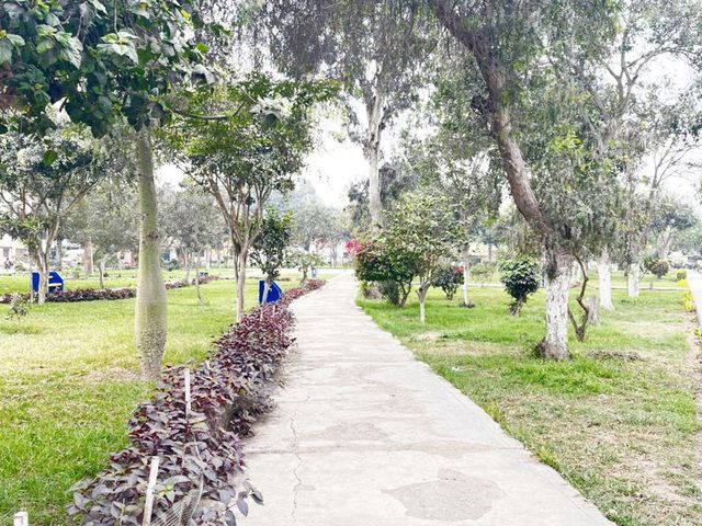 place photo 42