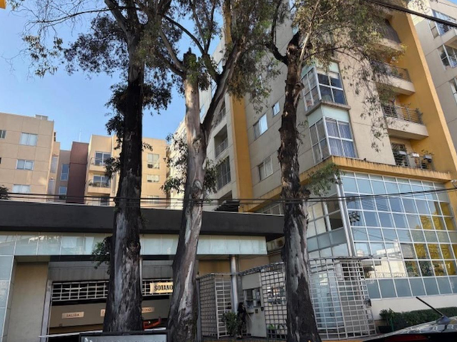 place photo 38