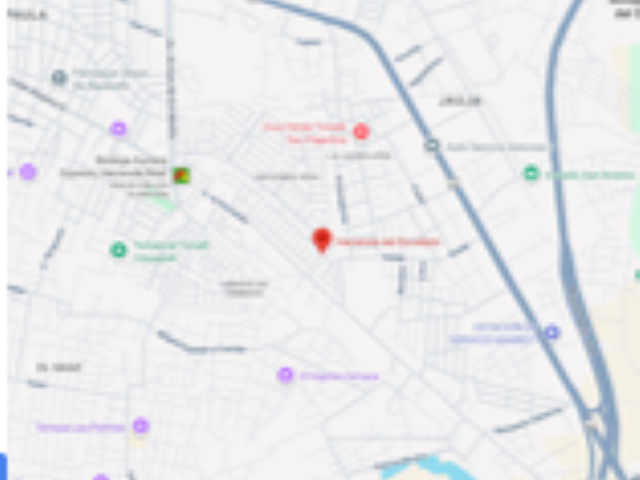place photo 10