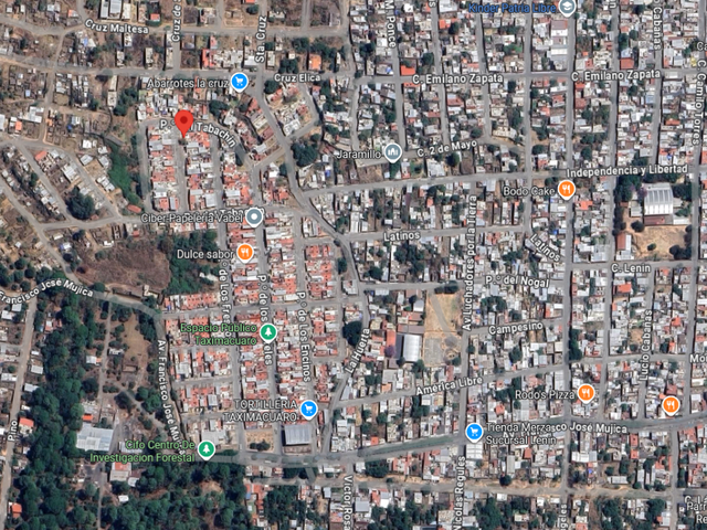 place photo 7