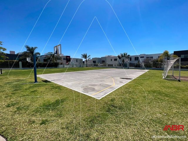 place photo 45