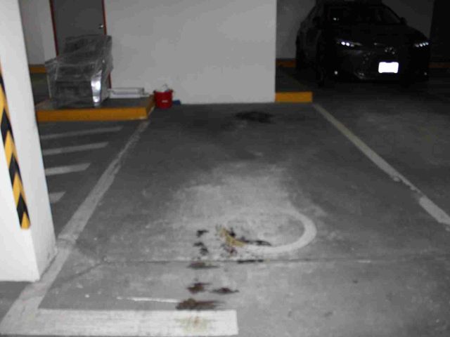 place photo 29