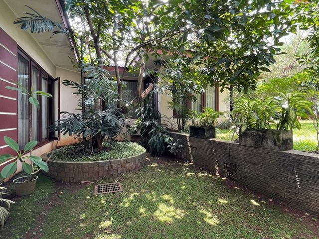 place photo 45