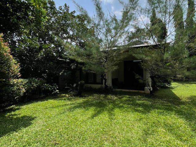 place photo 47