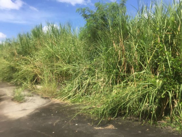 Vacant Lot for Sale in Eastland Heights (Forest Hills) San Isidro, Antipolo City