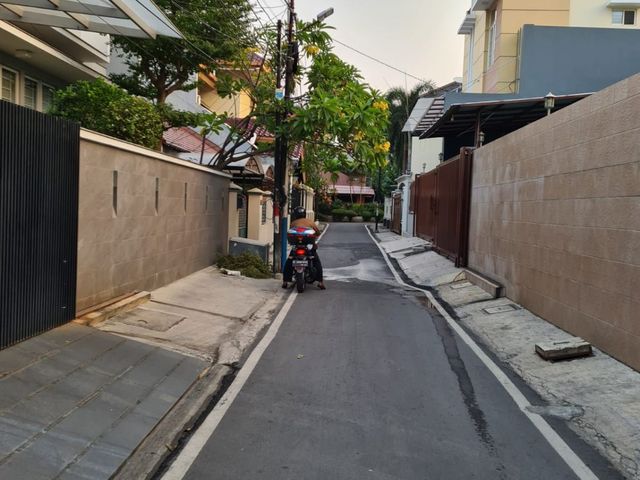 place photo 17