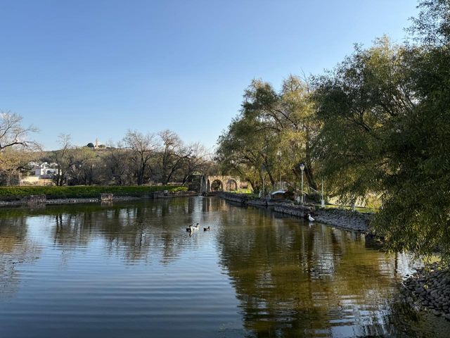 place photo 12